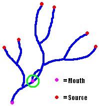 Mouth in network